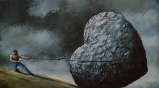 LA FALACIA DEL AMOR LA FALACIA DEL AMOR